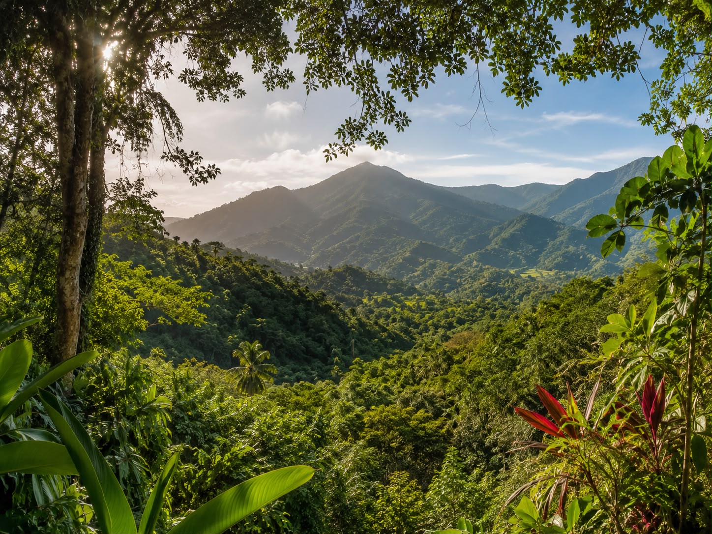 A lush green mountain landscape in the Dominican Republic